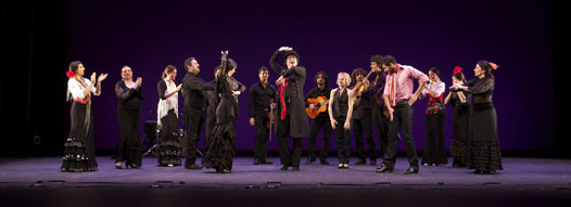 Stars of Flamenco photo